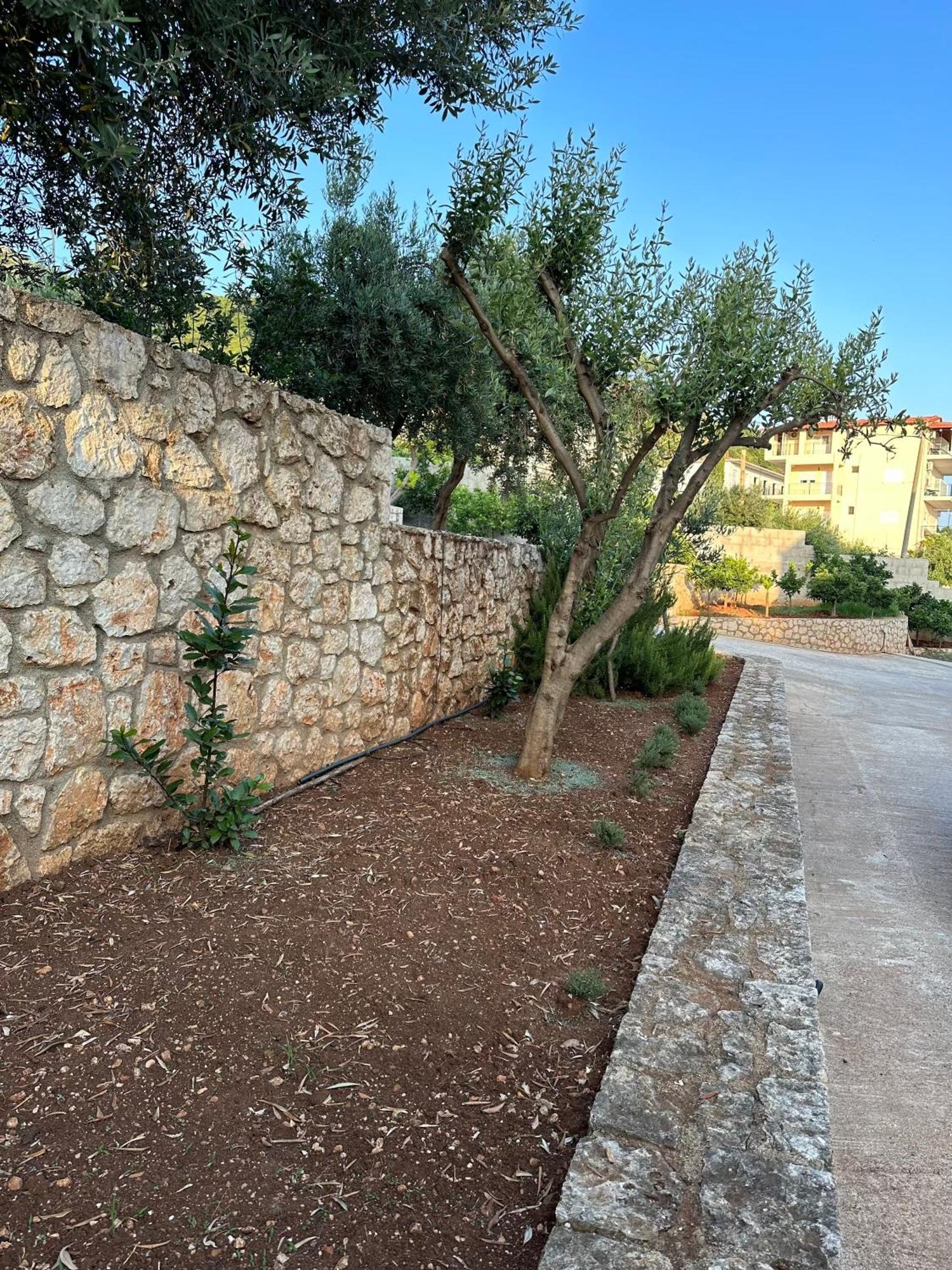 Dima Vista Hotell Dhërmi Exteriör bild